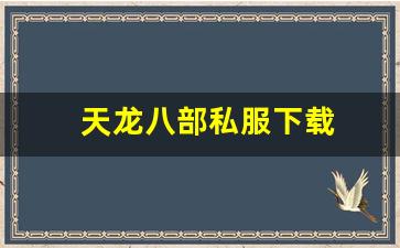 天龙八部私服下载(天龙手游私sf下载) (9)