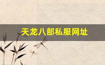 新开千年私服：天龙八部私服网址 (4)