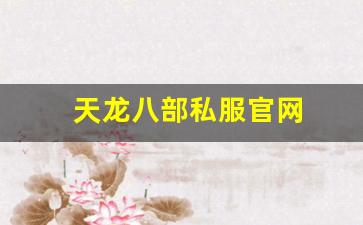 天龙八部私服官网 (2)