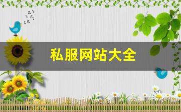 天龙3：私服网站大全 (16)
