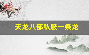 新天龙sf：天龙八部私服一条龙(天龙八部架设一条龙) (2)