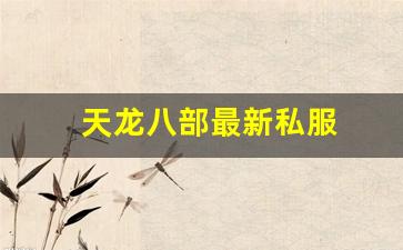 好私服发布网：天龙八部最新私服 (12)