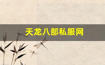 新开千年私服：天龙八部私服网 (2)