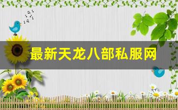 最新天龙八部私服网 (16)