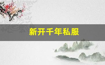 新开千年私服 (4)