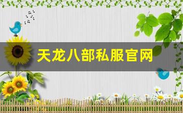 天龙八部sifu：天龙八部私服官网 (9)