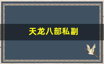 天龙八部私副(天龙八部游戏副属性有用吗)