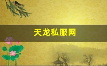 天龙八部变态私服：天龙私服网 (15)