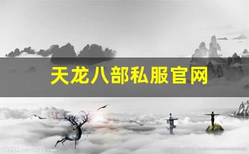 天龙八部公益服：天龙八部私服官网 (3)
