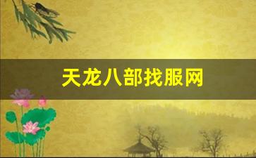 天龙八部公益服发布网：天龙八部找服网(天龙八部服务器) (2)