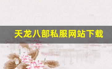 天龙八部 sf：天龙八部私服网站下载 (11)