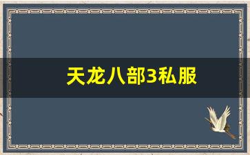 天龙八部3私服 (15)