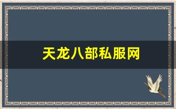 天龙八部私服网 (16)