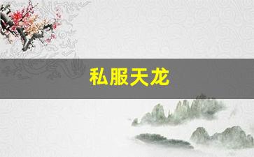 最新天龙私服：私服天龙 (13)