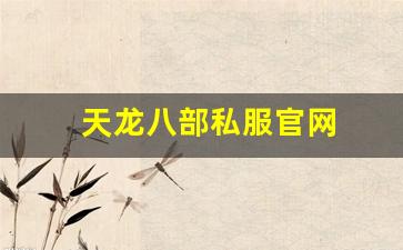 天龙八部私服官网 (4)